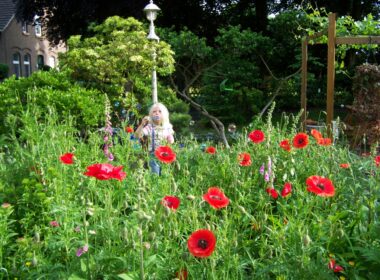 Een wilde tuin, wat zullen de buren zeggen? 11