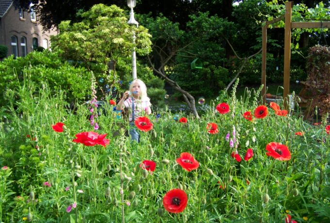 Een wilde tuin, wat zullen de buren zeggen? 12 Een wilde tuin, wat zullen de buren zeggen? 11