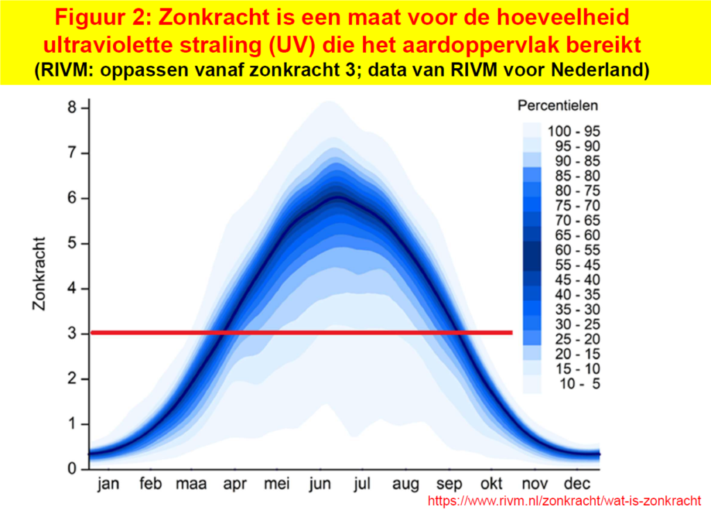 Lekker in de zon voor vitamine D? 5