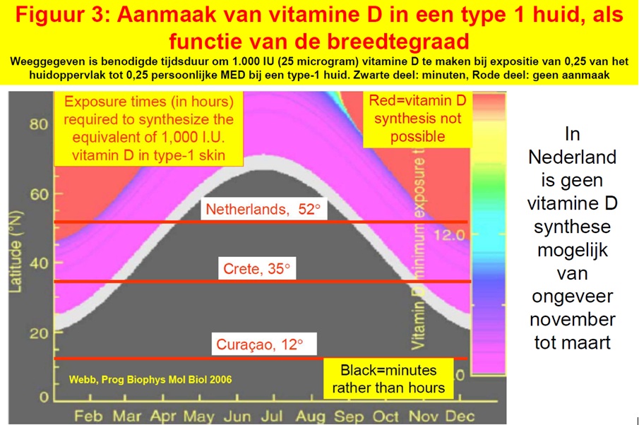 Lekker in de zon voor vitamine D? 6