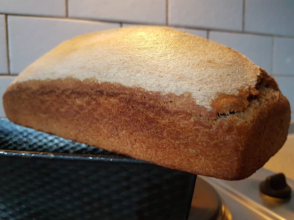 Volkorenbrood 3