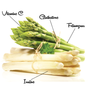 Asperge 3