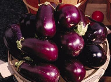 Aubergine en tomaat nog gezonder met olijfolie 8