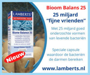 Lambers vegan ijzer complex 6
