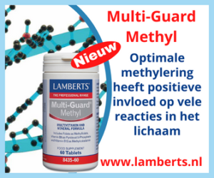 Lambers vegan ijzer complex 10