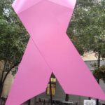 Borstkanker: Kijken is het nieuwe voelen 16