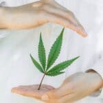 Onderzoek naar cannabis bij hersenkanker 17