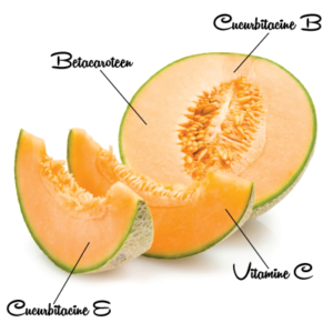 Cantaloupe 3