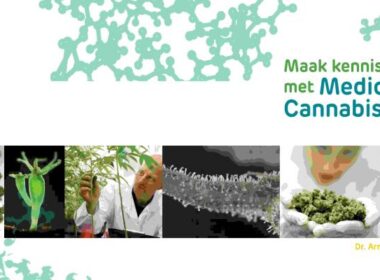 Alles over medicinale cannabis 5