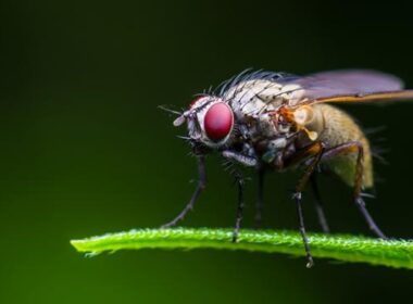 Darmproblemen door slaaptekort 6