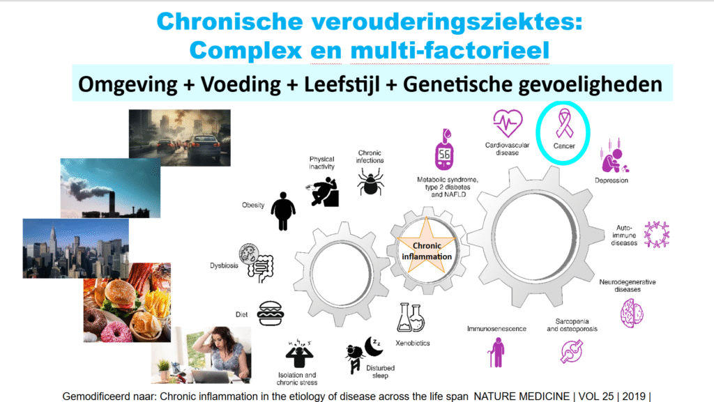 ‘Uw afweersysteem is uw beste vriend tegen kanker’ 4 ‘Uw afweersysteem is uw beste vriend tegen kanker’ 4