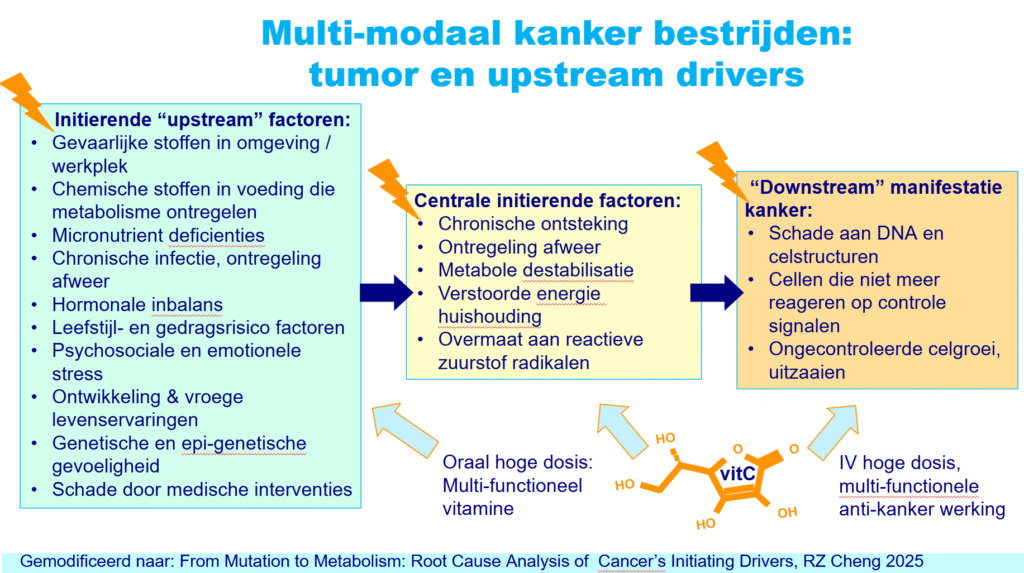 ‘Uw afweersysteem is uw beste vriend tegen kanker’ 5 ‘Uw afweersysteem is uw beste vriend tegen kanker’ 5