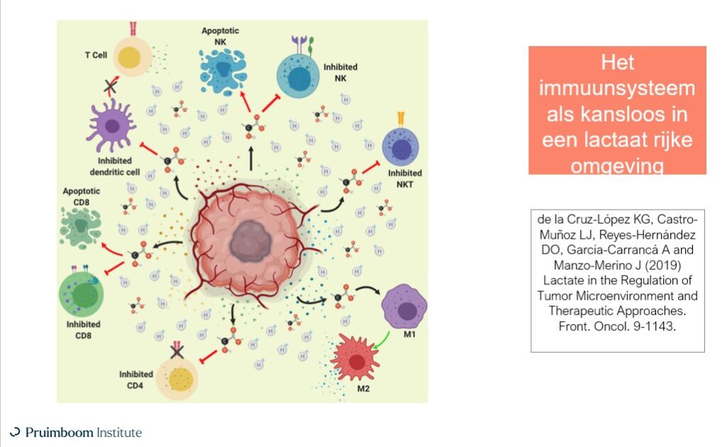 Leo Pruimboom: ‘Waarom zou uw immuunsysteem u redden?’ 6 Leo Pruimboom: ‘Waarom zou uw immuunsysteem u redden?’ 6