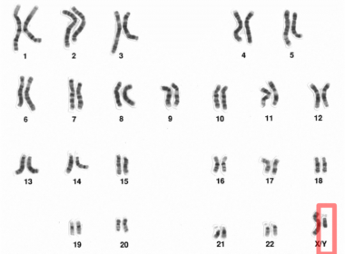 Is de man aan het verdwijnen? 7