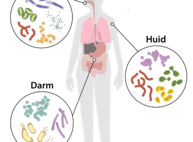 Wie heeft er honger: u of uw darmbacteriën? 4