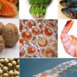 'Omega 3' helpen darmkanker te overleven 13