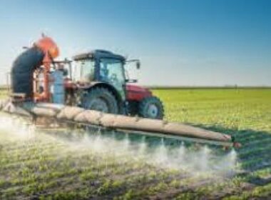 Biologische landbouw mag koper blijven inzetten 7