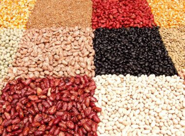 Peulvruchten, recept tegen de problemen van deze tijd 7