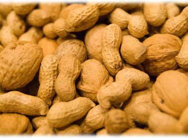 Pinda-allergie succesvol behandeld met pinda 8