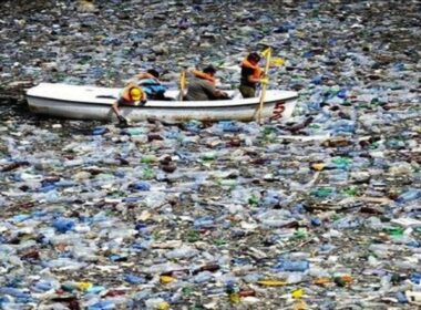 Microplastics veilig of toch niet? 4