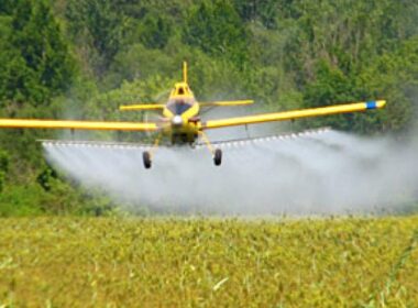 Belgische bioboeren werken met verboden middel 4