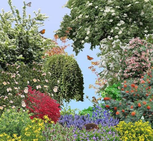 Vakantieklusje? Onttegel uw tuin 3 Vakantieklusje? Onttegel uw tuin 3