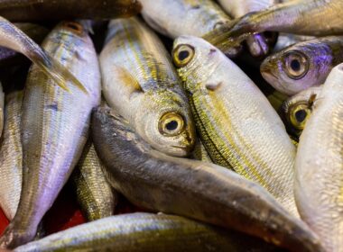 Visolie na hoog-risico borstkanker 7