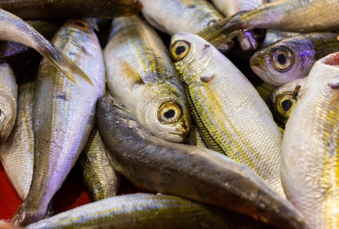 Visolie na hoog-risico borstkanker 3