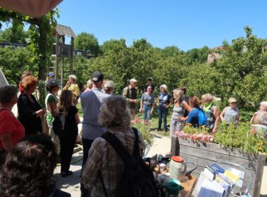 Veel belangstelling voor wildplukken in Zoetermeer 8