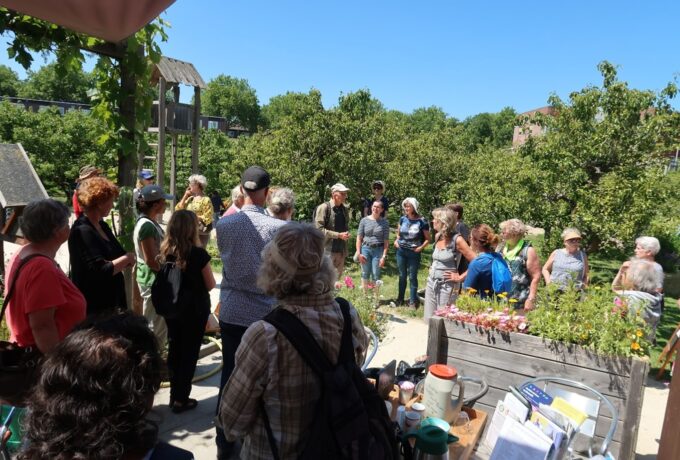 Veel belangstelling voor wildplukken in Zoetermeer 3