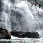 Amerikanen lusten water rauw 14