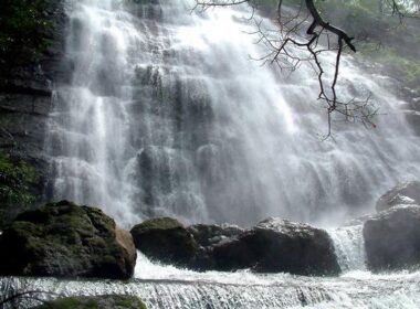 Amerikanen lusten water rauw 9